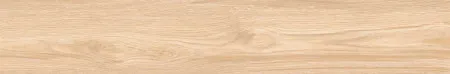 НФ-00099066