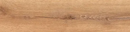 НФ-00099434