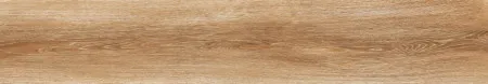 НФ-00095261
