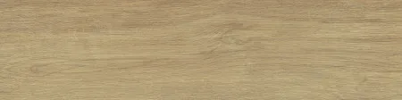 НФ-00093806