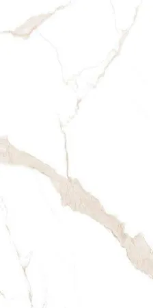 89556