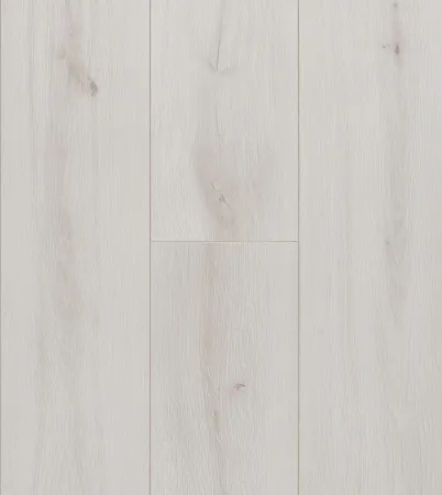 НФ-00095408