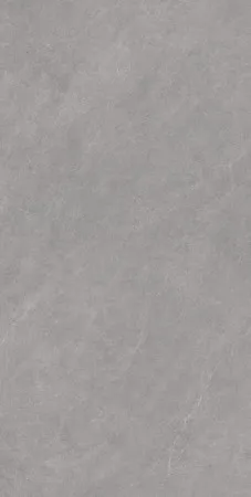 НФ-00099164