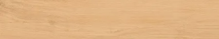 НФ-00099061