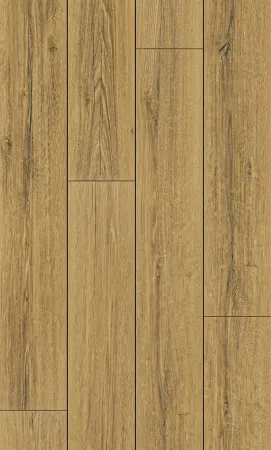 НФ-00095389