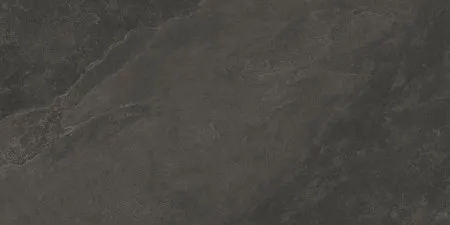 НФ-00093304
