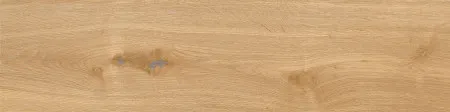 НФ-00099448