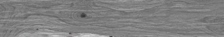 НФ-00094380