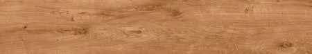 НФ-00095262