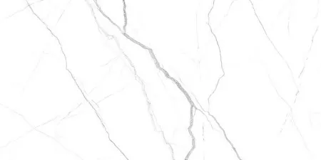 83830_2