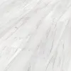 83704