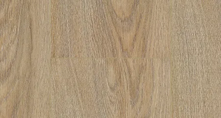 62848_2