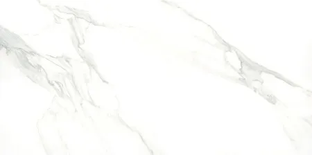 83408_1