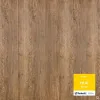 50810