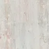 50786_1