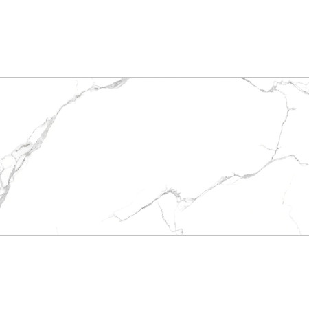НФ-00099336
